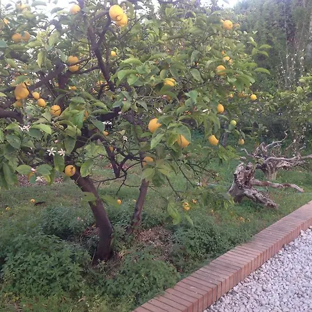 Il Sole Ventiquattrore *